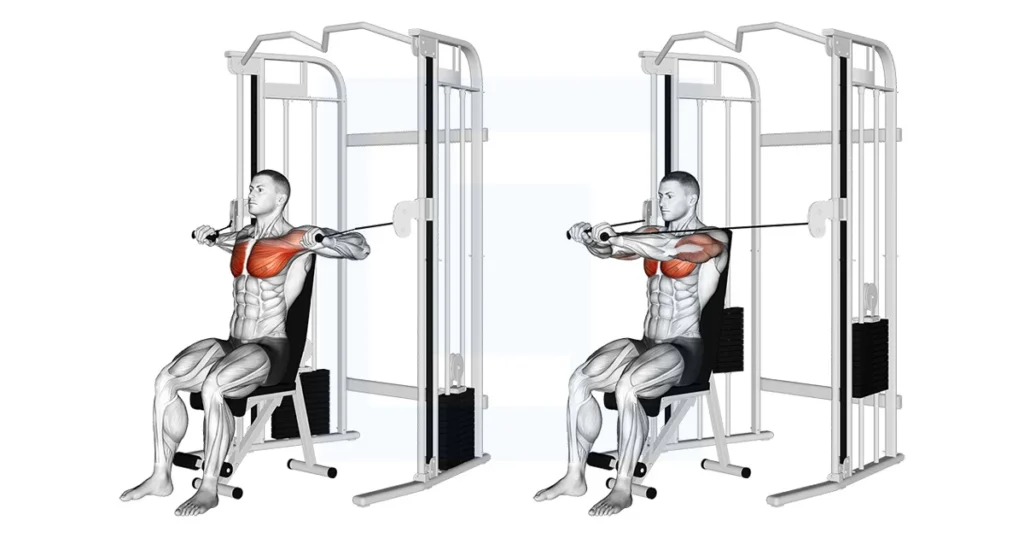 Seated Chest Press Machine